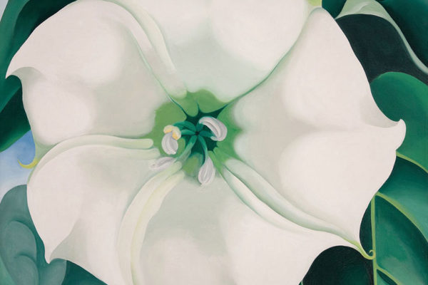 © 2016 Georgia O’Keeffe Museum/Bildrecht, Wien, Foto: Edward C. Robison III.