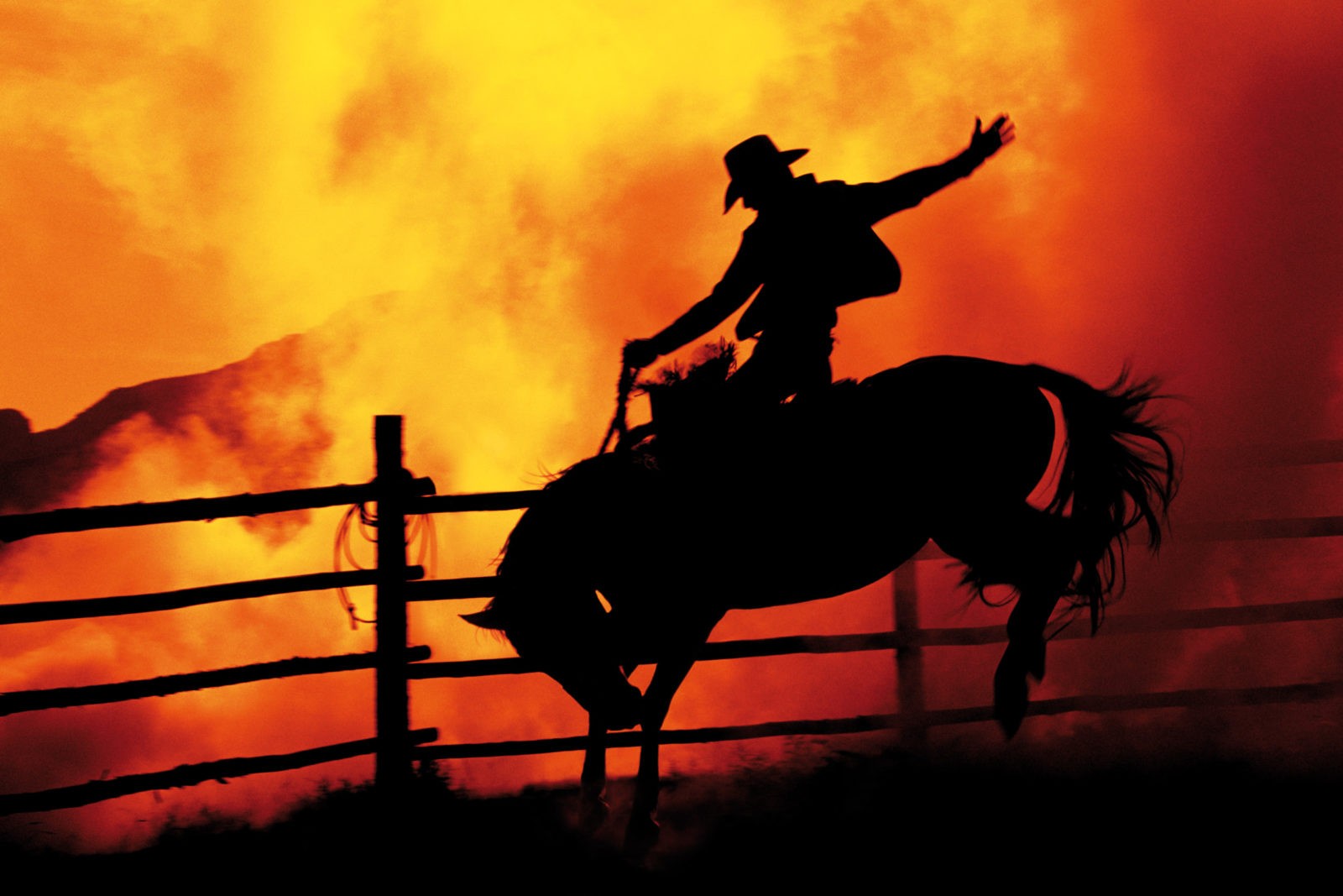 COWBOY 380 C-Print